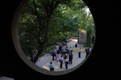 AVI_2707.jpg
