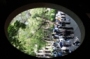AVI_2835.jpg